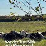 Villa Nordsee Im Blick - Kamin&privat-garten - Design-haus Heverstrom *