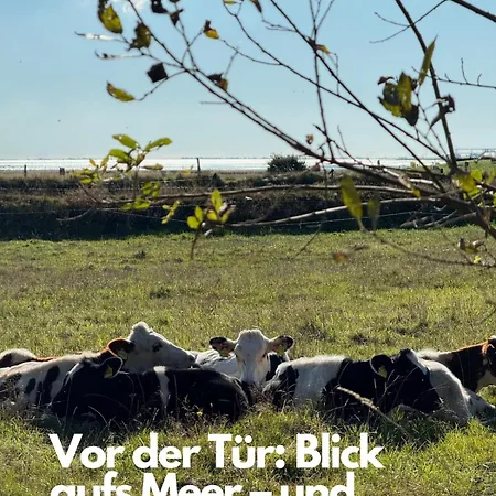 Vila Designer-Idyll Mit Meerblick - Gesamtes Haus *