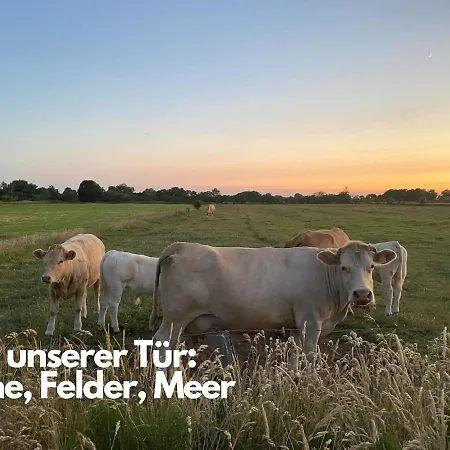 Nordsee Im Blick - Kamin & Privat-garten - Design-haus Heverstrom Husum (Schleswig-Holstein)