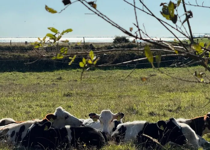 Villa Designer-idyll Mit Meerblick - Gesamtes Haus *
